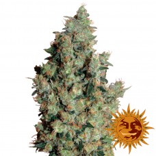 Tangerine Dream - Barney's Farm